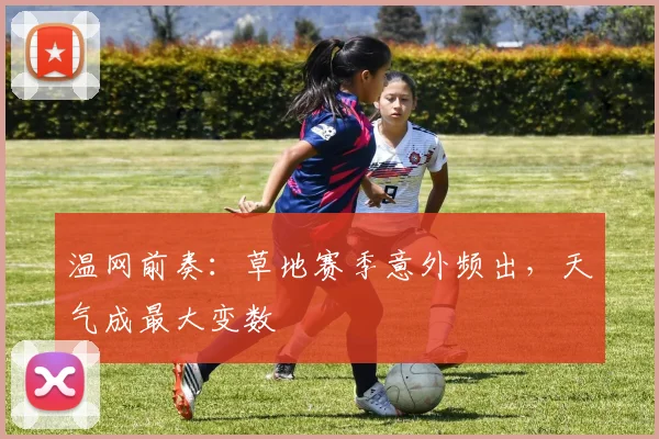 温网前奏:草地赛季意外频出,天气成最大变数 - 懂球帝推荐
