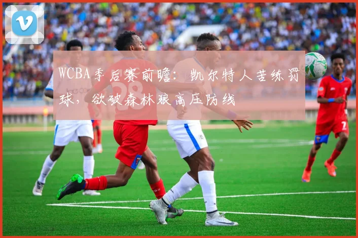 WCBA季后赛前瞻:凯尔特人苦练罚球,欲破森林狼高压防线 - 懂球帝推荐