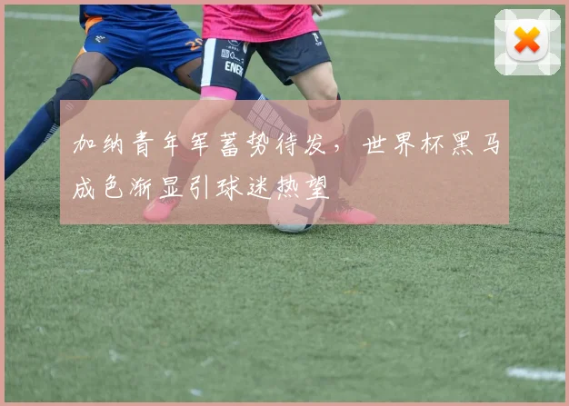 加纳青年军蓄势待发,世界杯黑马成色渐显引球迷热望 - 懂球帝推荐