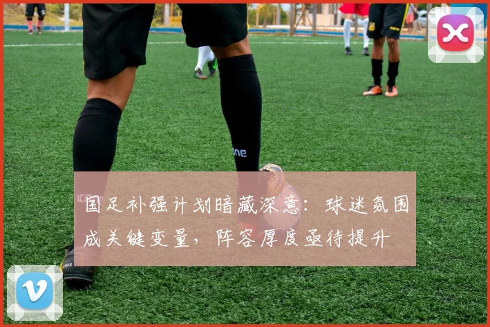 国足补强计划暗藏深意：球迷氛围成关键变量，阵容厚度亟待提升 - 懂球帝资讯