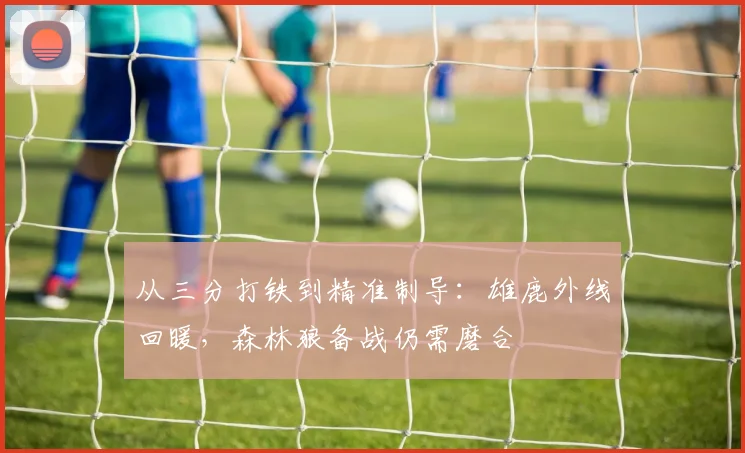 从三分打铁到精准制导:雄鹿外线回暖,森林狼备战仍需磨合 - 懂球帝推荐